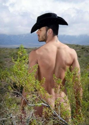 18 naked cowboys